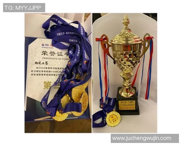 重庆羽毛球队与杭州羽毛球队赛后复盘力量对比分析与启示